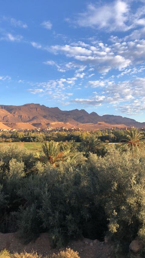 Una vista del paisatge amb vegetació verda i palmeres en primer pla amb muntanyes marrons i un cel blau parcialment ennuvolat al fons.